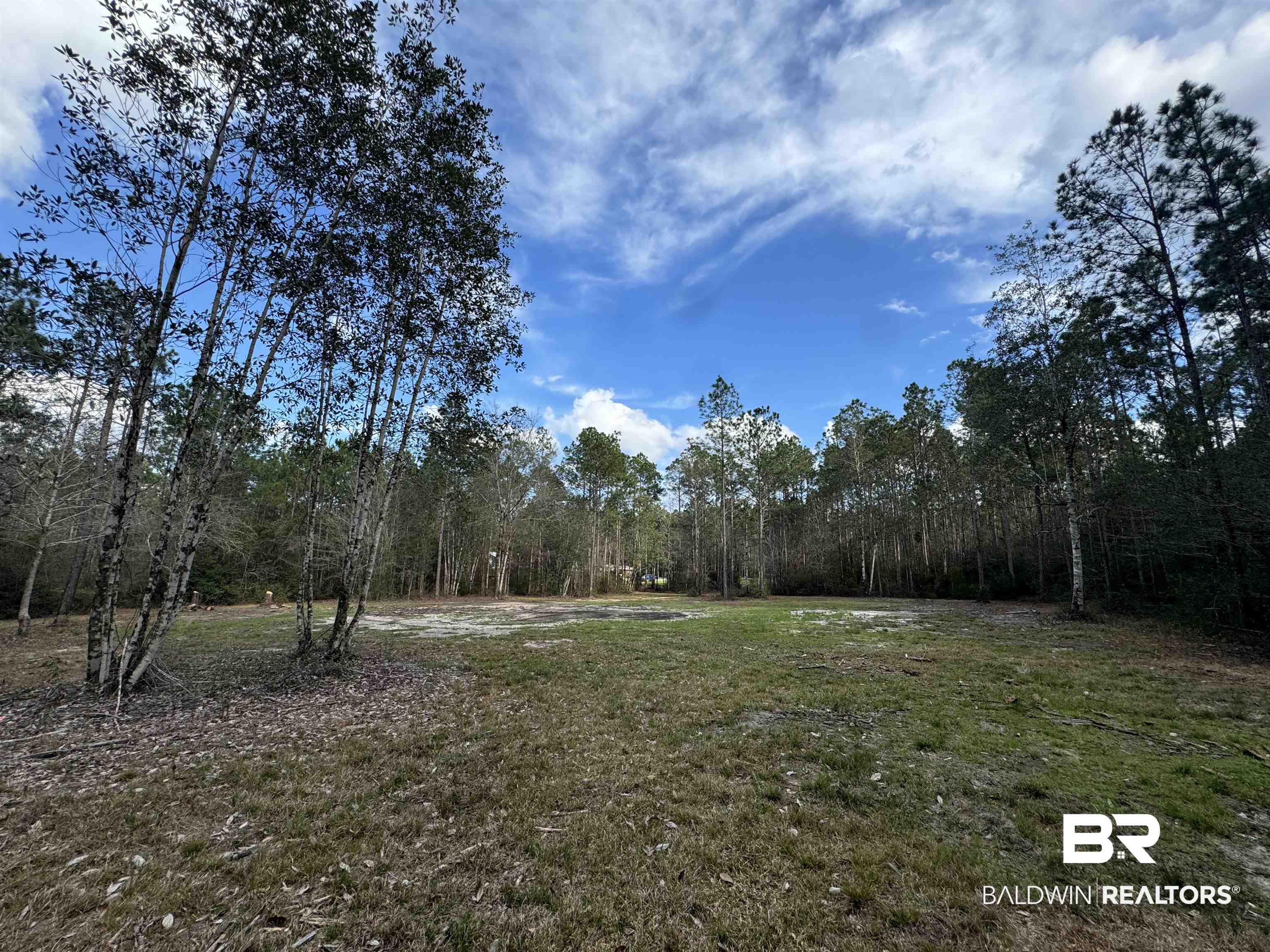 51235 Phillipsville Road Bay Minette, AL 36507 - Photo 55 of 63 View of green lawn