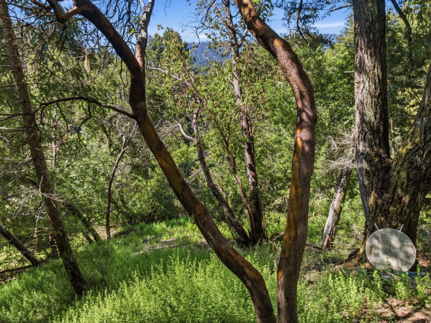 360 Rincon Way Boulder Creek, CA 95006 - Photo 29 of 46