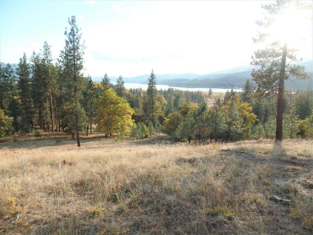Lot 204 Old Kettle Road Kettle Falls, WA 99141 - Photo 1 of 15 Gallery Image 1