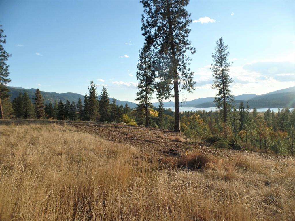 Lot 204 Old Kettle Road Kettle Falls, WA 99141 - Photo 2 of 15 Gallery Image 2