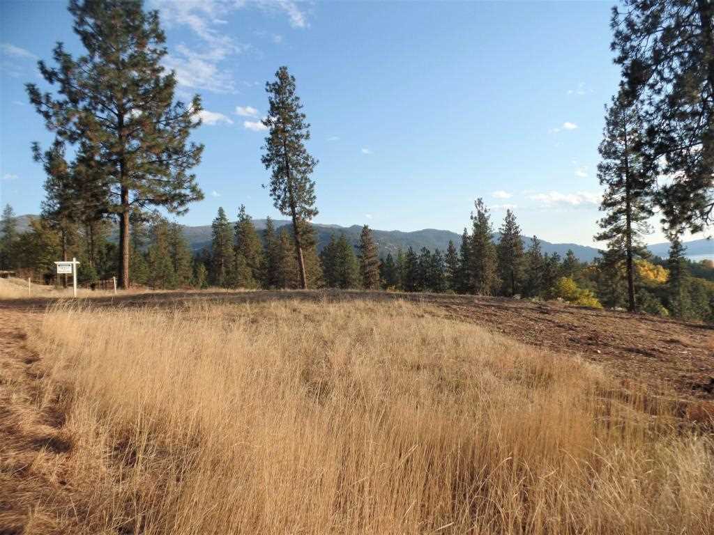 Lot 204 Old Kettle Road Kettle Falls, WA 99141 - Photo 11 of 15 Gallery Image 11