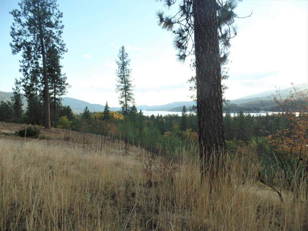 Lot 204 Old Kettle Road Kettle Falls, WA 99141 - Photo 13 of 15 Gallery Image 13