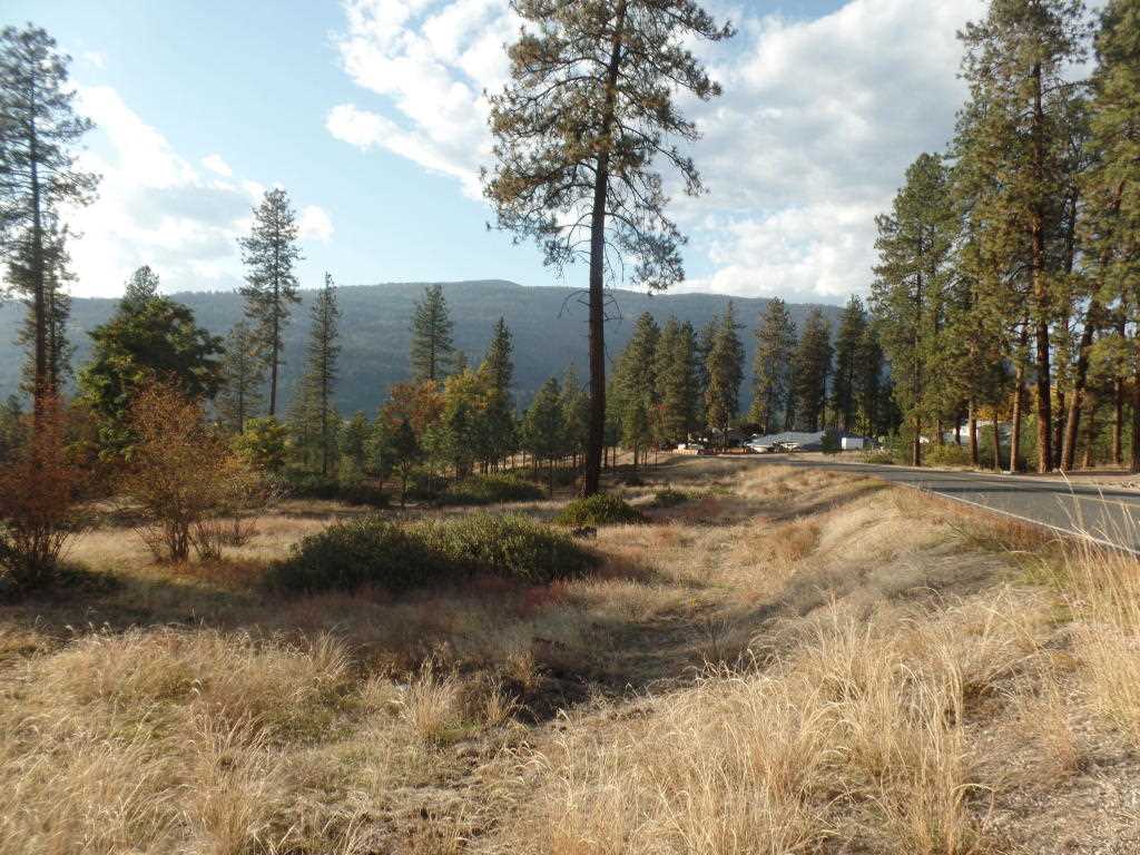 Lot 204 Old Kettle Road Kettle Falls, WA 99141 - Photo 15 of 15 Gallery Image 15