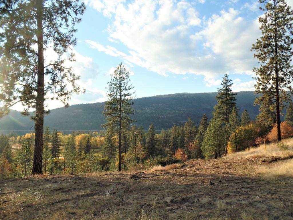 Lot 204 Old Kettle Road Kettle Falls, WA 99141 - Photo 3 of 15 Gallery Image 3
