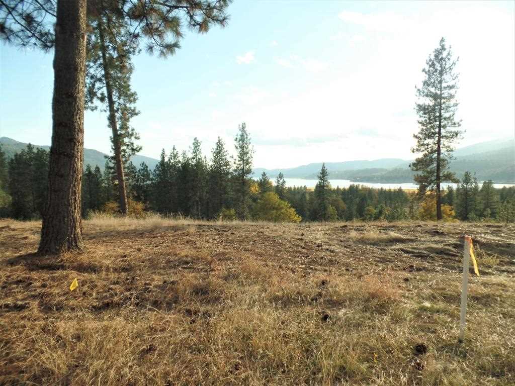Lot 204 Old Kettle Road Kettle Falls, WA 99141 - Photo 4 of 15 Gallery Image 4