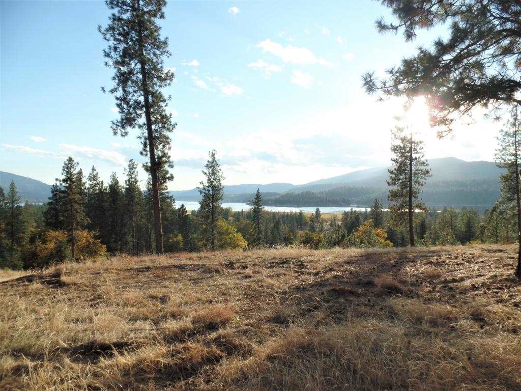 Lot 204 Old Kettle Road Kettle Falls, WA 99141 - Photo 5 of 15 Gallery Image 5