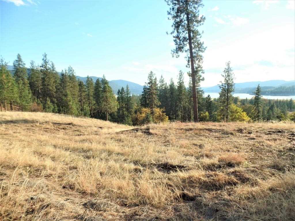 Lot 204 Old Kettle Road Kettle Falls, WA 99141 - Photo 6 of 15 Gallery Image 6