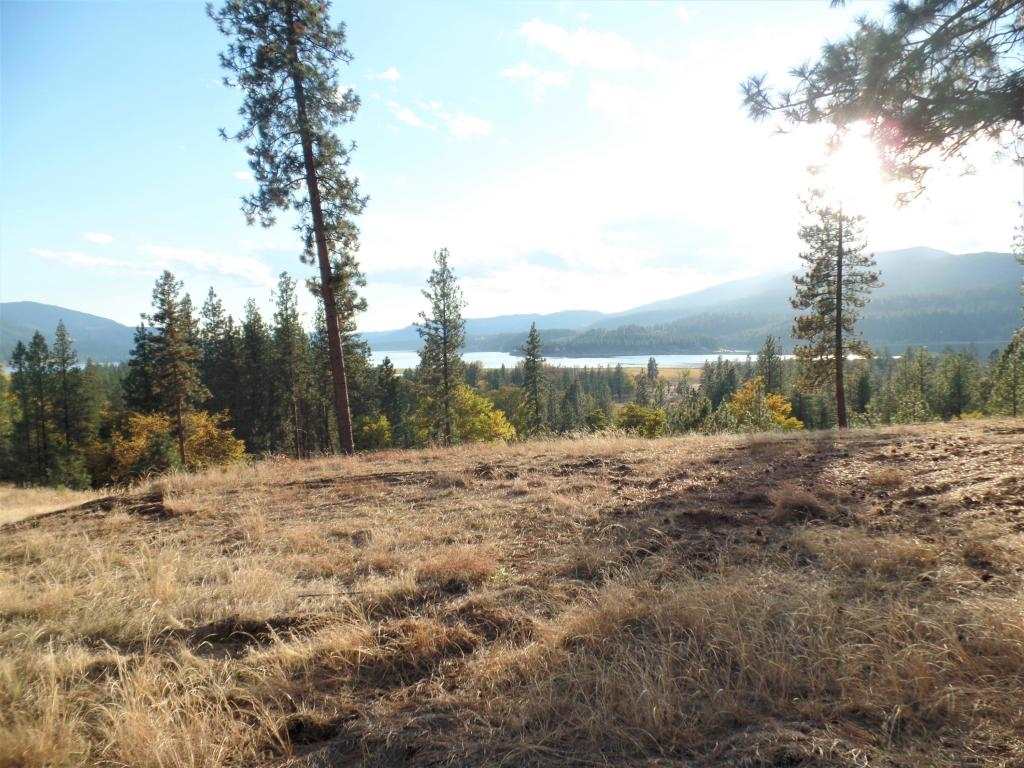 Lot 204 Old Kettle Road Kettle Falls, WA 99141 - Photo 8 of 15 Gallery Image 8