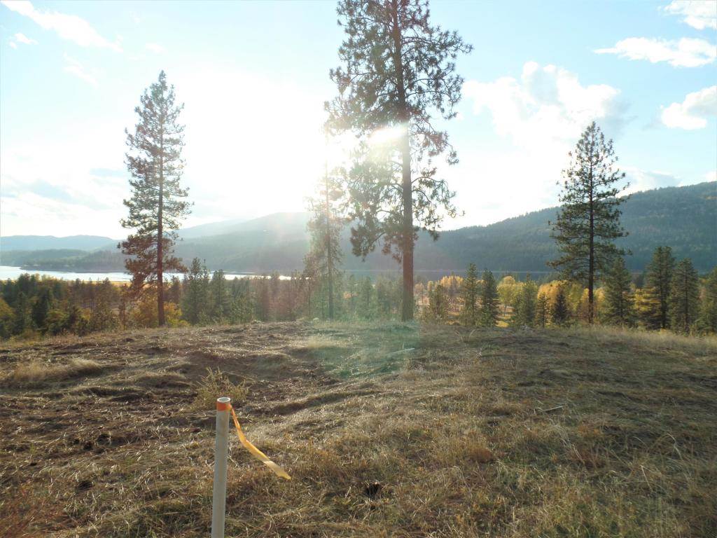Lot 204 Old Kettle Road Kettle Falls, WA 99141 - Photo 9 of 15 Gallery Image 9