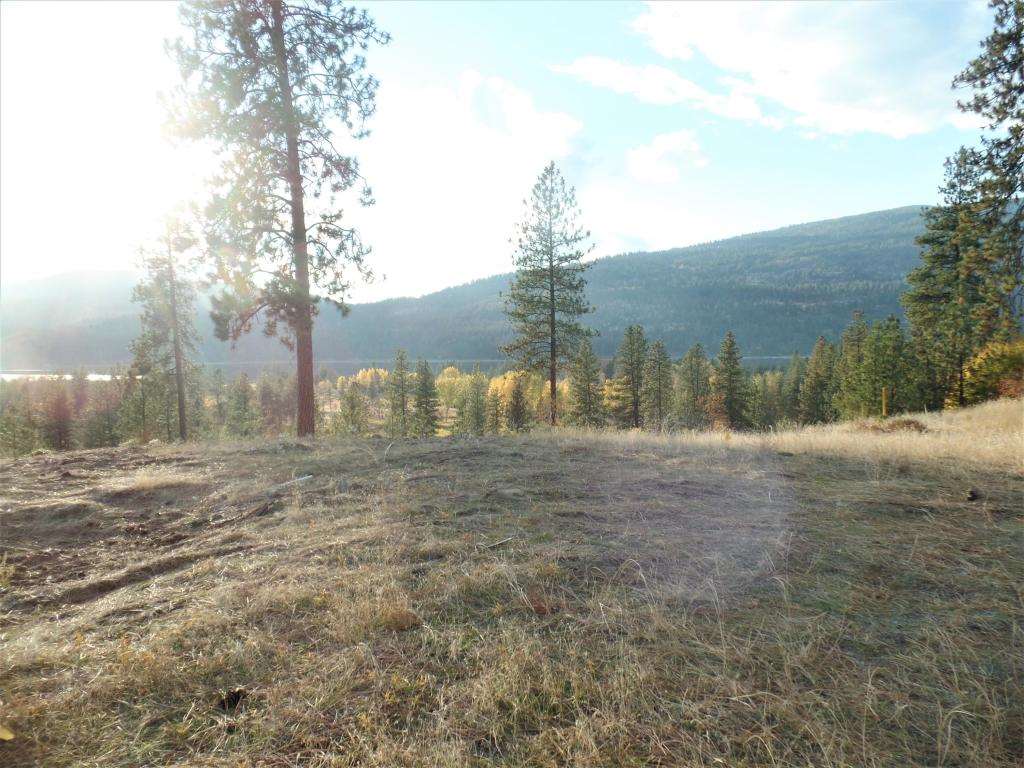 Lot 204 Old Kettle Road Kettle Falls, WA 99141 - Photo 10 of 15 Gallery Image 10