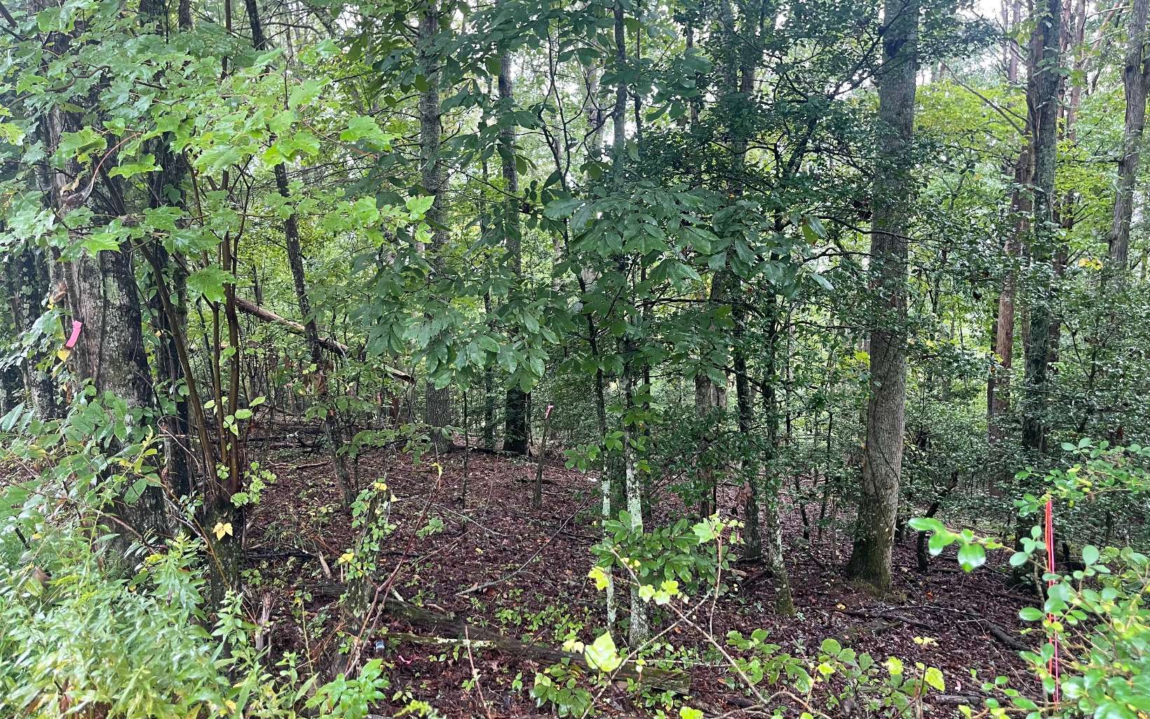 1 Hardscrabble Road Mineral Bluff, GA 30559 - Photo 8 of 28 Additional View