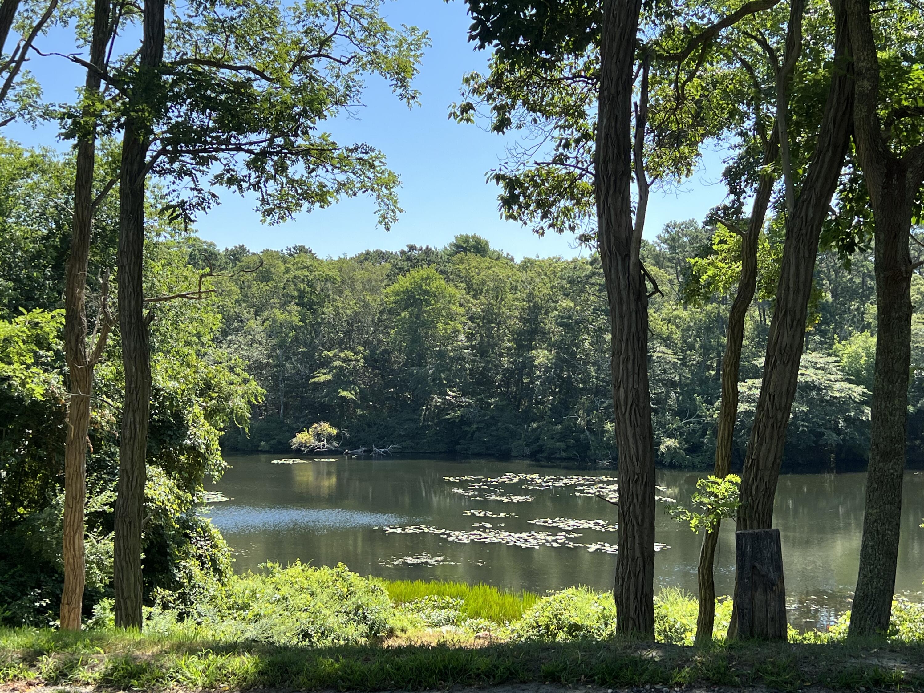 46 Bournedale Road Buzzards Bay, MA 02532 - Photo 3 of 46 a view of lake