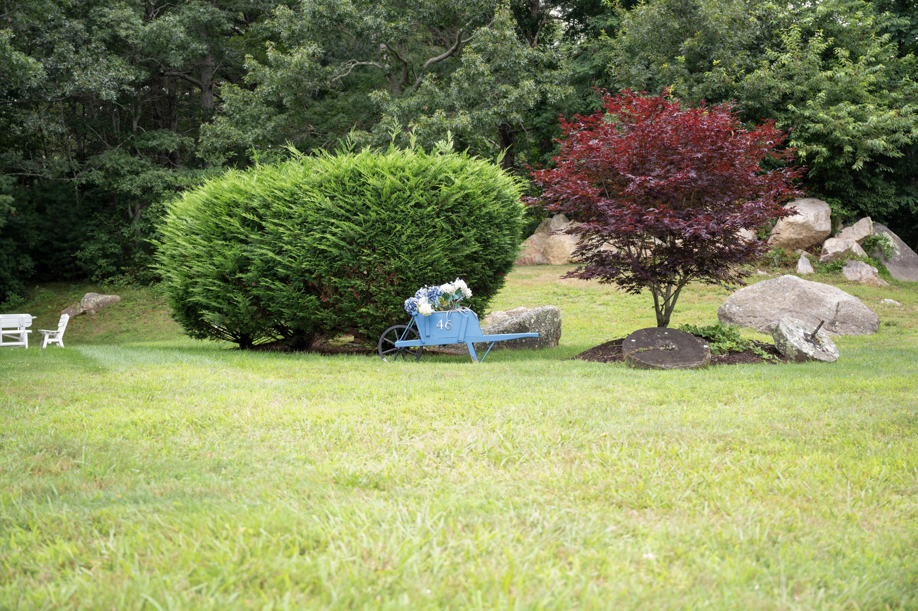 46 Bournedale Road Buzzards Bay, MA 02532 - Photo 40 of 46 a backyard of a house with lots of green space
