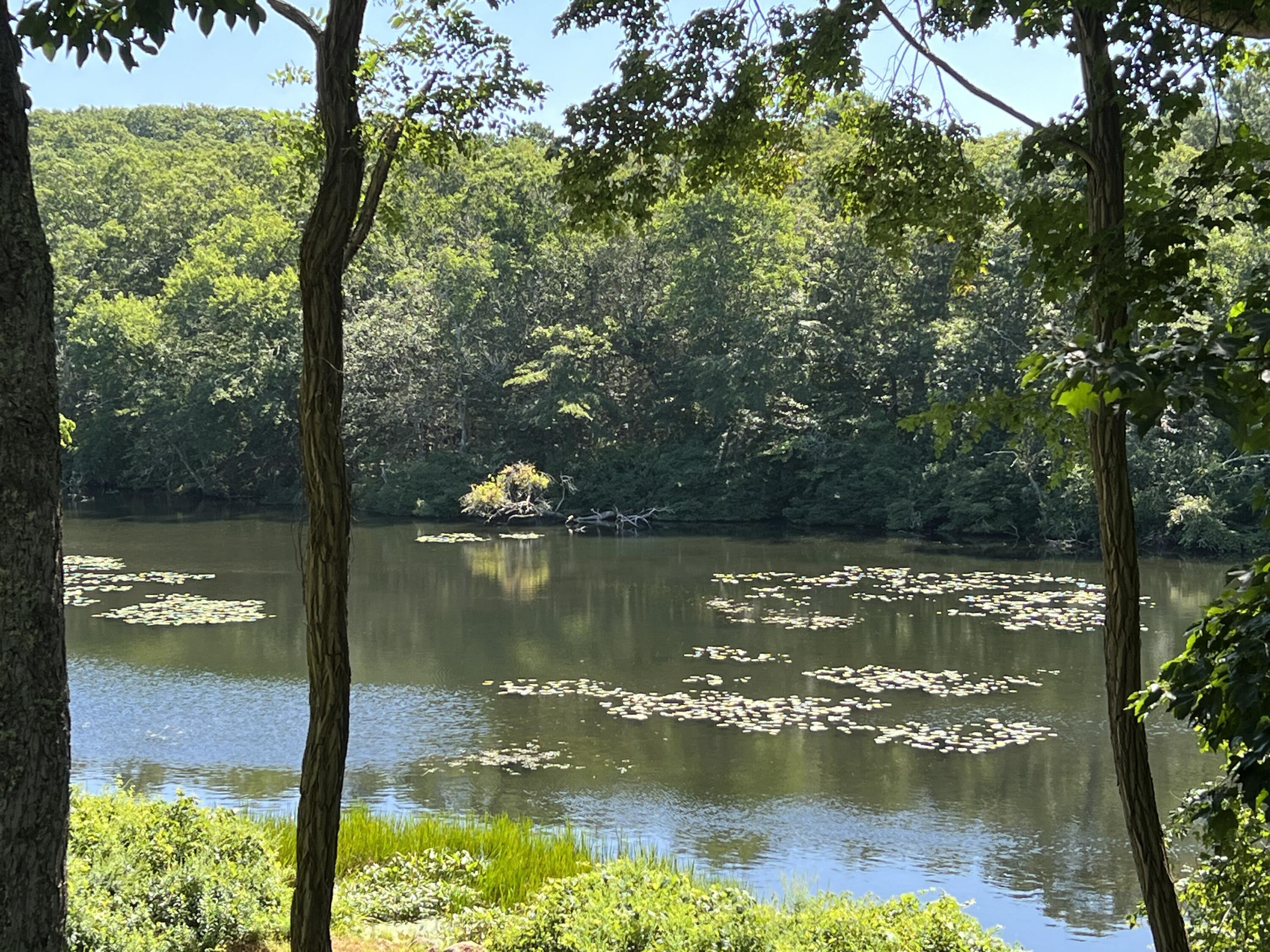 46 Bournedale Road Buzzards Bay, MA 02532 - Photo 43 of 46 a view of lake
