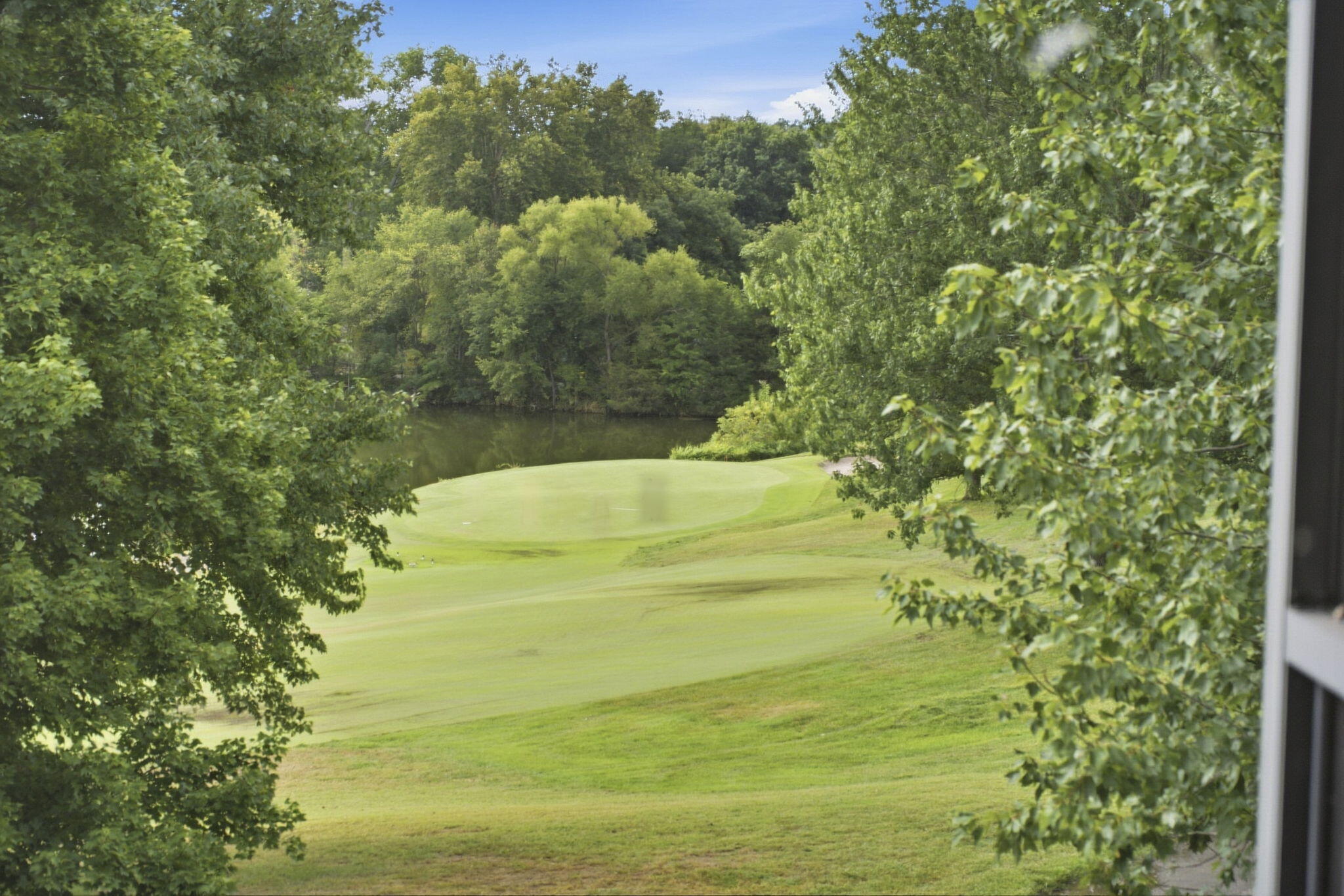 3994 East Villa Way Springfield, MO 65809 - Photo 2 of 51 View from patio