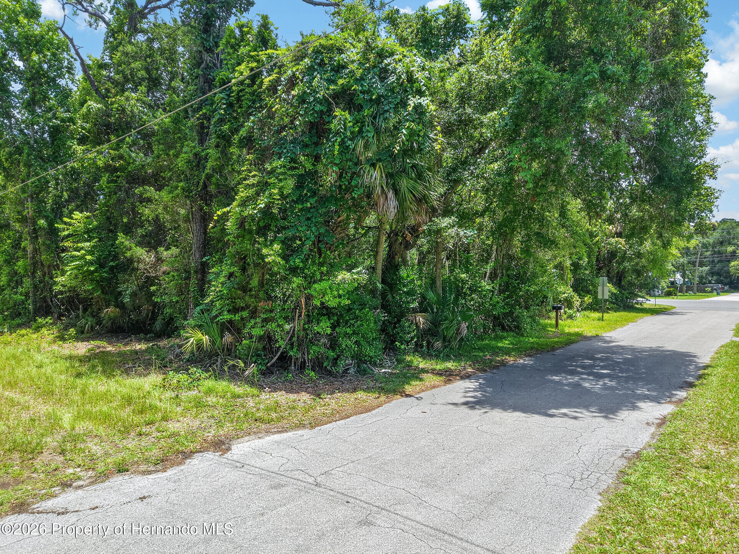 0 Highway 40 West Inglis, FL 34449 - Photo 3 of 8 a view of backyard with green space
