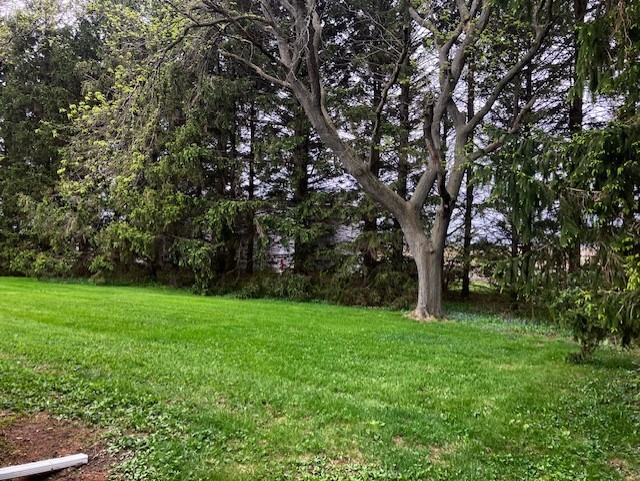4015 East 1st Road Mendota, IL 61342 - Photo 37 of 45 a view of a trees with a yard