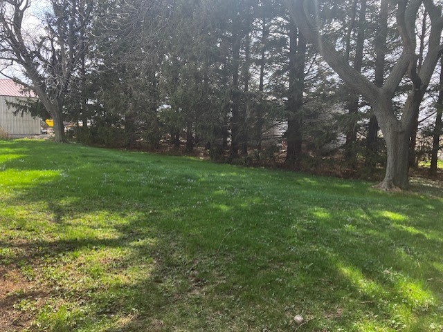 4015 East 1st Road Mendota, IL 61342 - Photo 38 of 45 a view of yard with trees