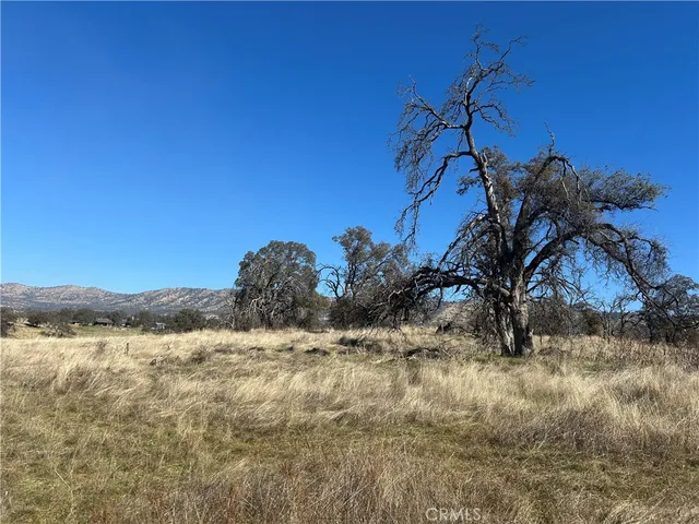 a view of a lake in between two of trees