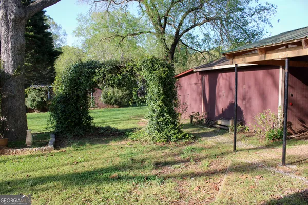 a view of a trees in a yard
