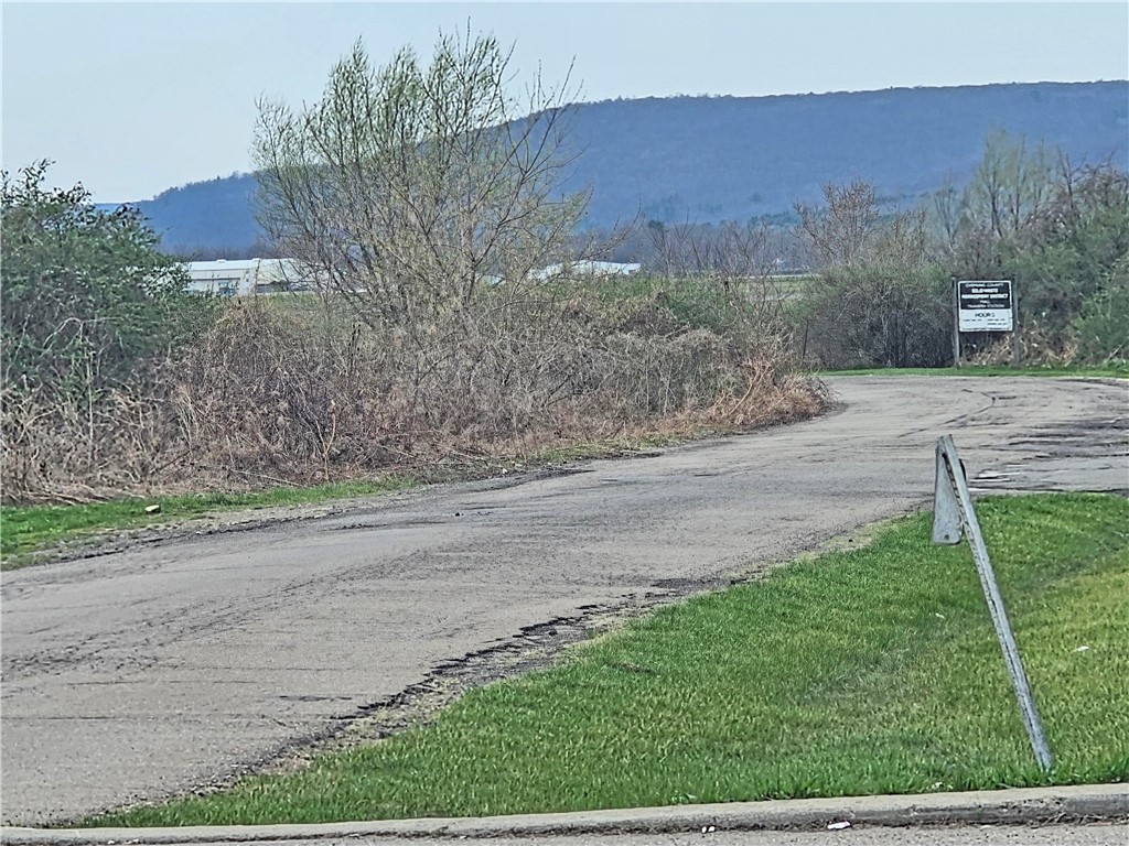 0 Chambers Road West Horseheads, NY 14845 - Photo 4 of 4