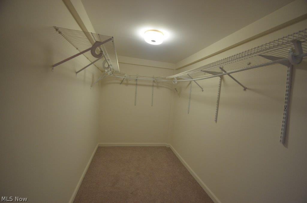 25854 Highland Road Cleveland, OH 44143 - Photo 17 of 23