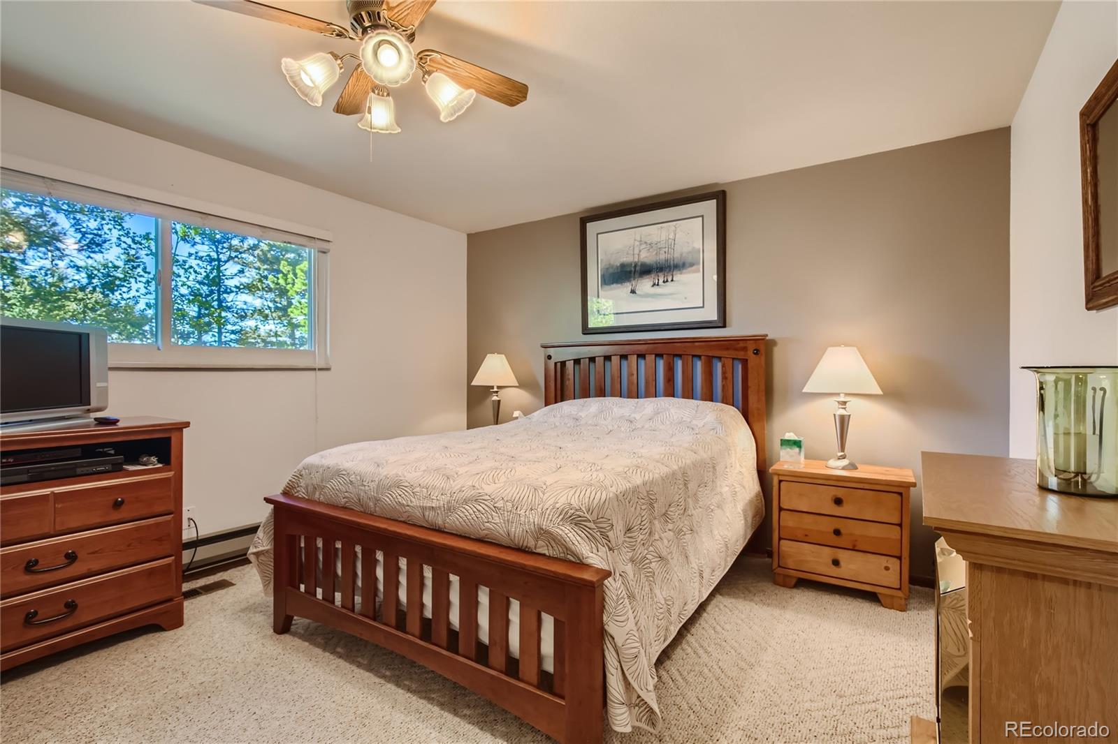 30907 Witteman Road Conifer, CO 80433 - Photo 20 of 27 Gallery Image 20