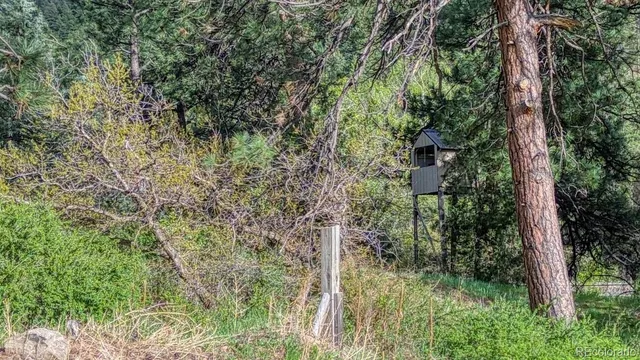 $449,000 | 21303 Highway 96, Florence, CO 81226