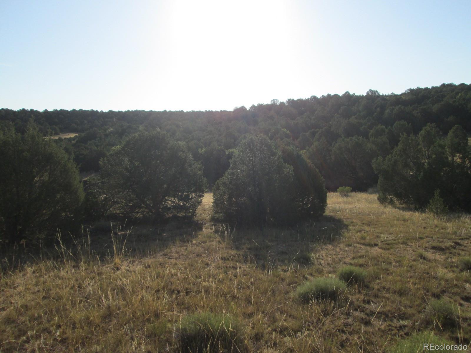 Rowell Road Walsenburg, CO 81089 - Photo 11 of 14 Gallery Image 11