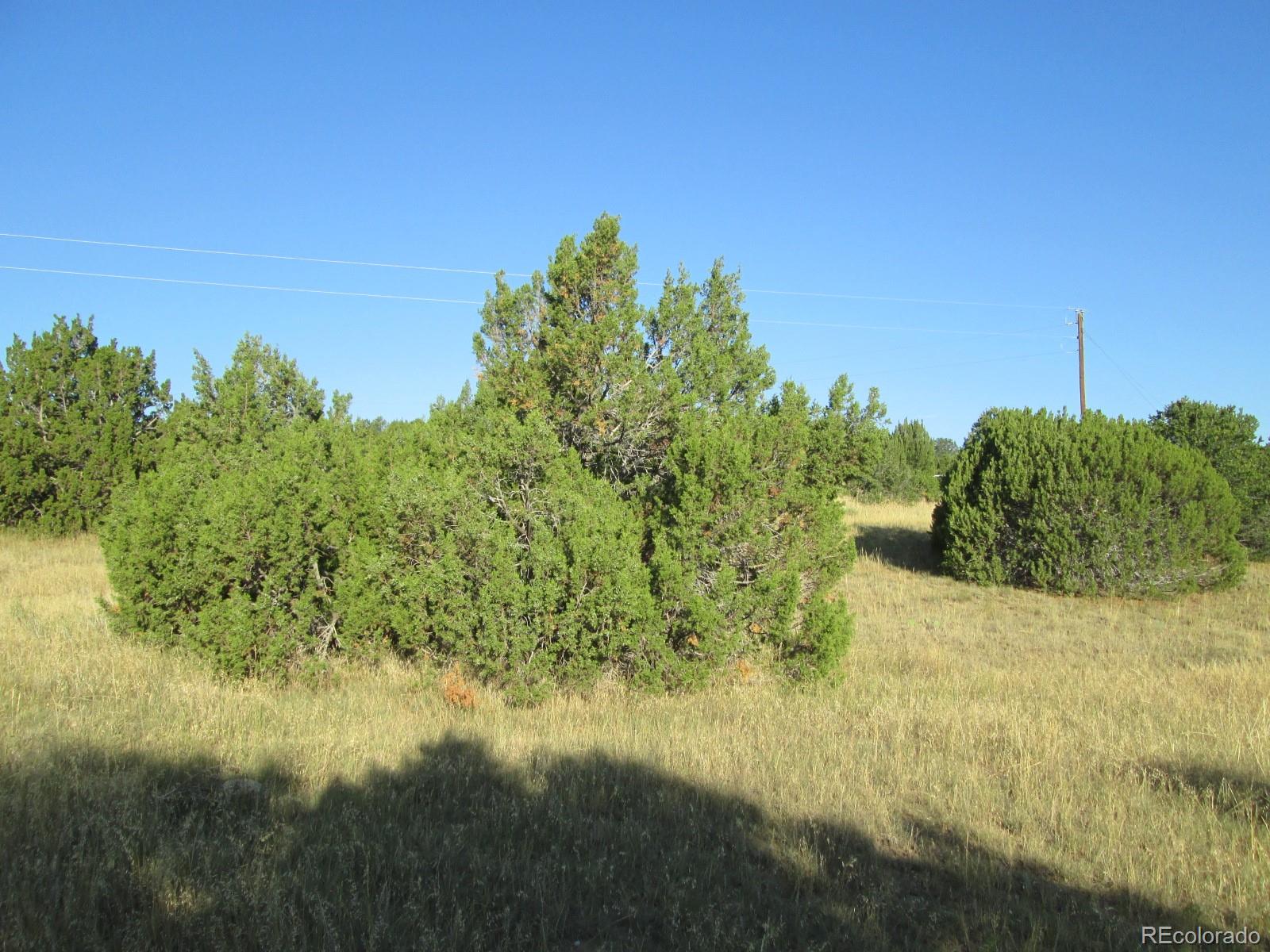 Rowell Road Walsenburg, CO 81089 - Photo 13 of 14 Gallery Image 13