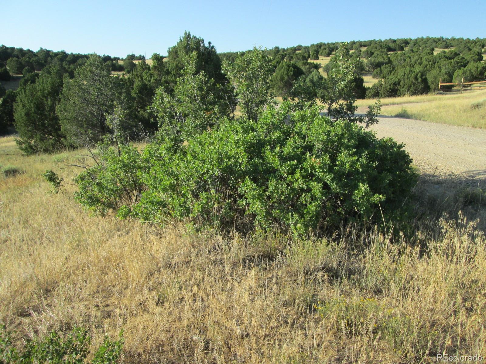 Rowell Road Walsenburg, CO 81089 - Photo 14 of 14 Gallery Image 14