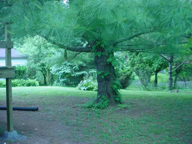 2 Hartman Road Albany, NY 12208 - Photo 4 of 4 Photo 4