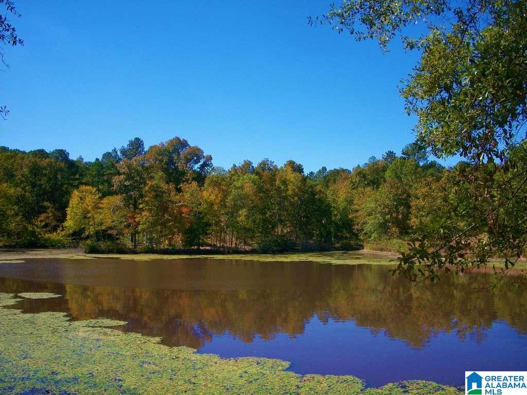 205 Gessler Drive Ohatchee, AL 36271 - Photo 43 of 50