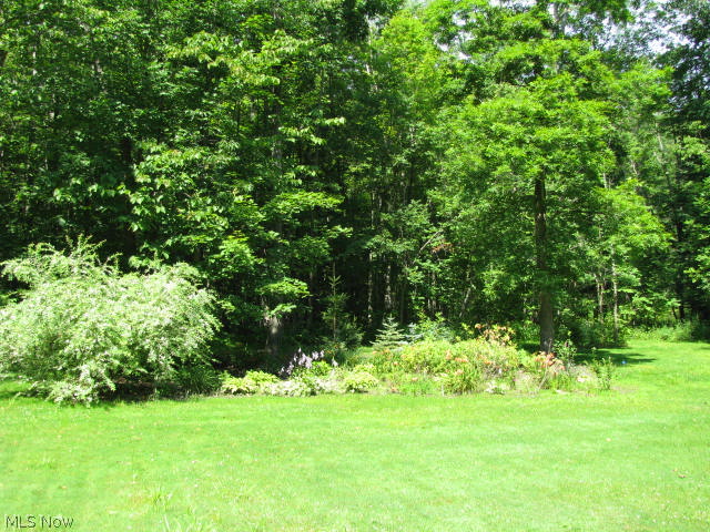10110 Kile Road Chardon, OH 44024 - Photo 19 of 24