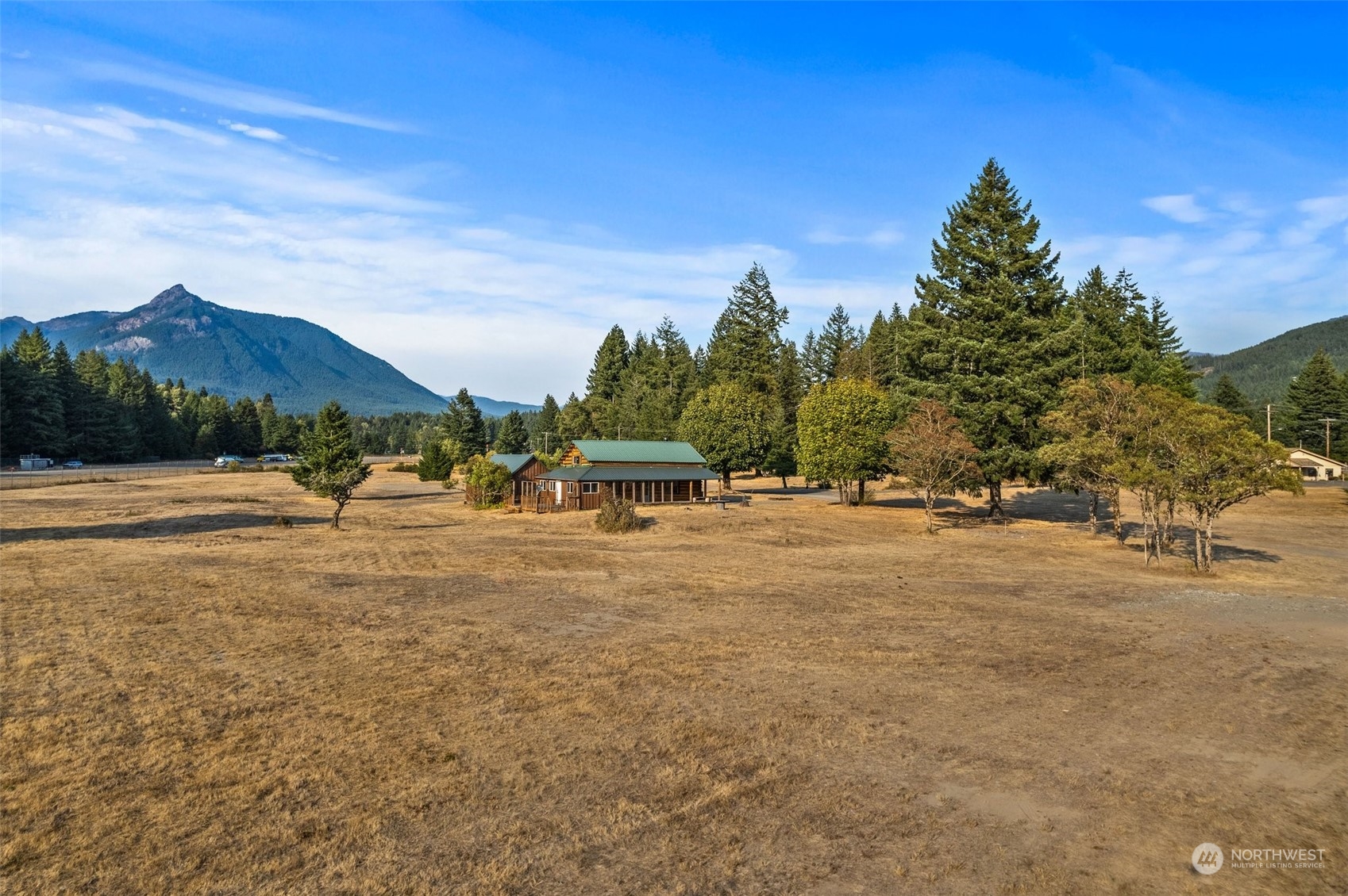 111 Huntington Road Packwood, WA 98361 - Photo 37 of 40 a view of outdoor space with mountain view