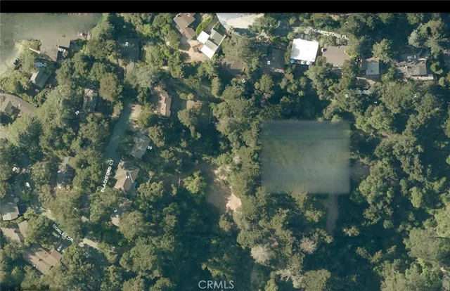 a view of a lake with a tree