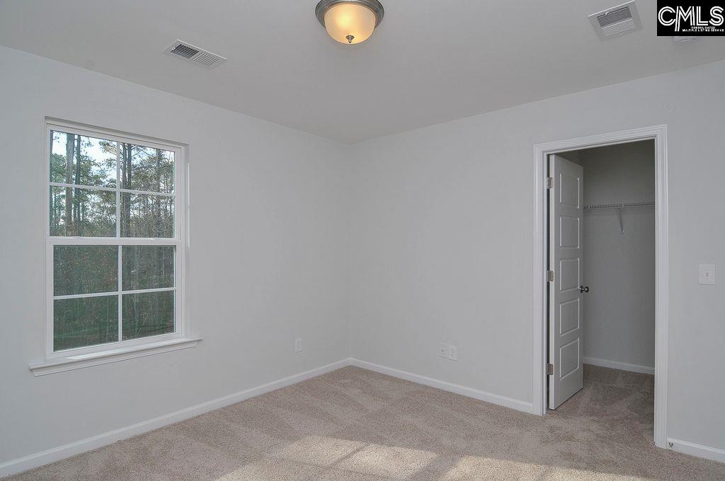 356 Hollow Cove Road Chapin, SC 29036 - Photo 28 of 29