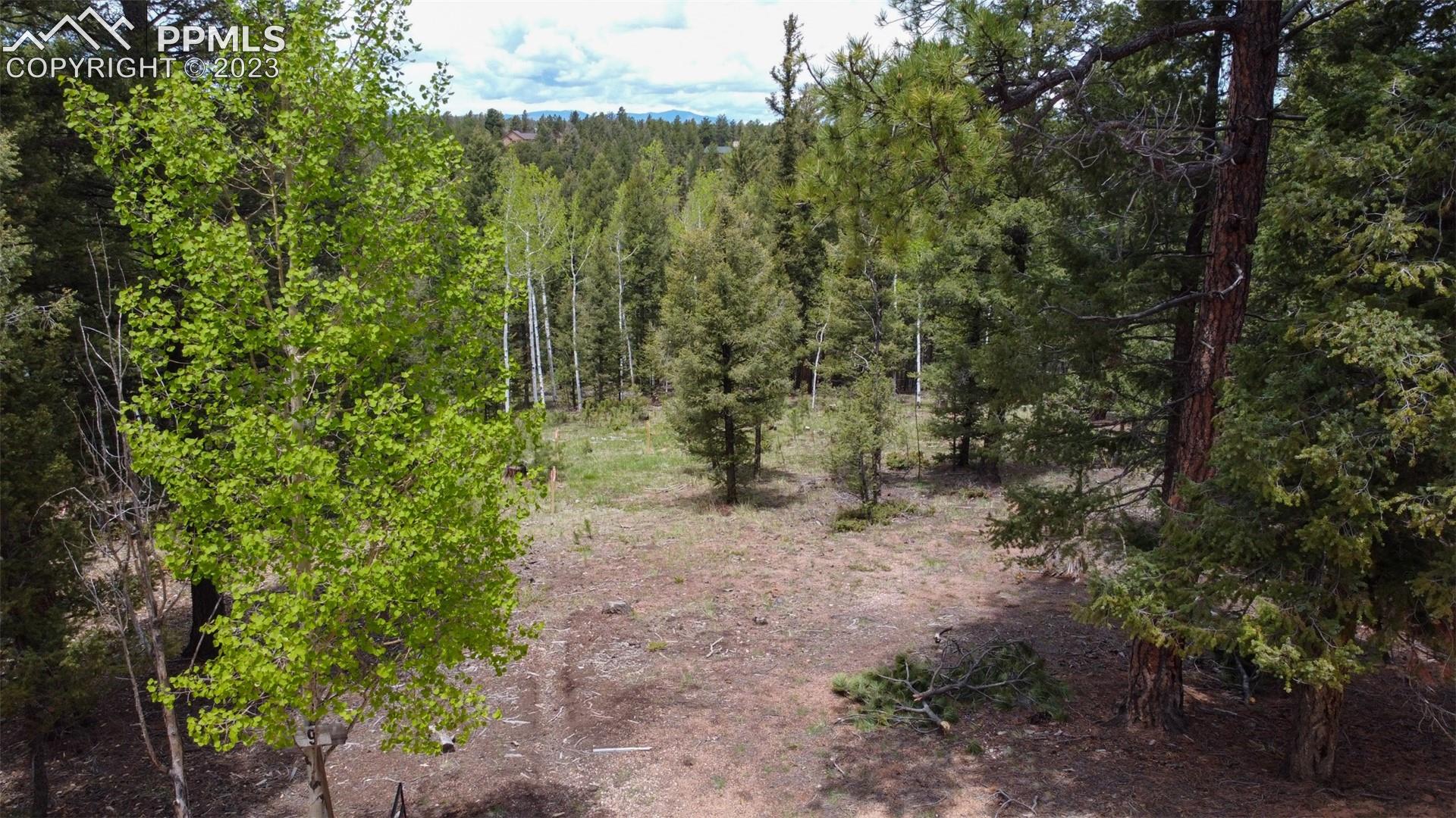 595 Ridge Road Divide, CO 80814 - Photo 1 of 12 Gallery Image 1