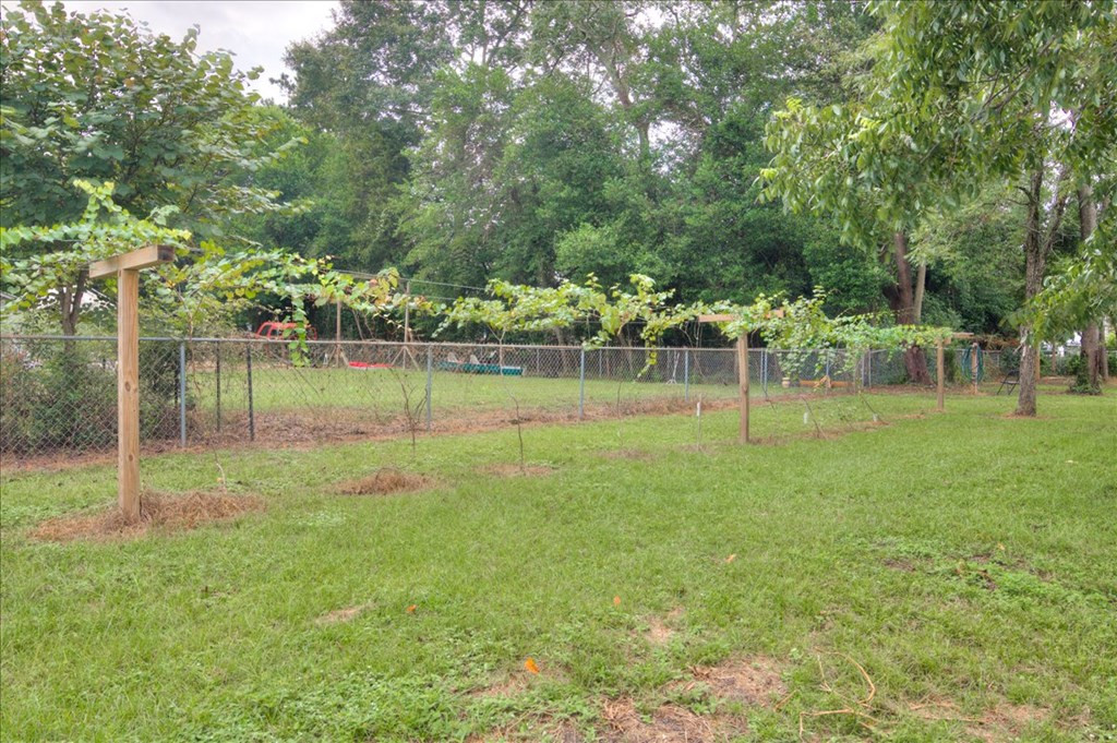 3509 Trolley Line Road Aiken, SC 29801 - Photo 37 of 37