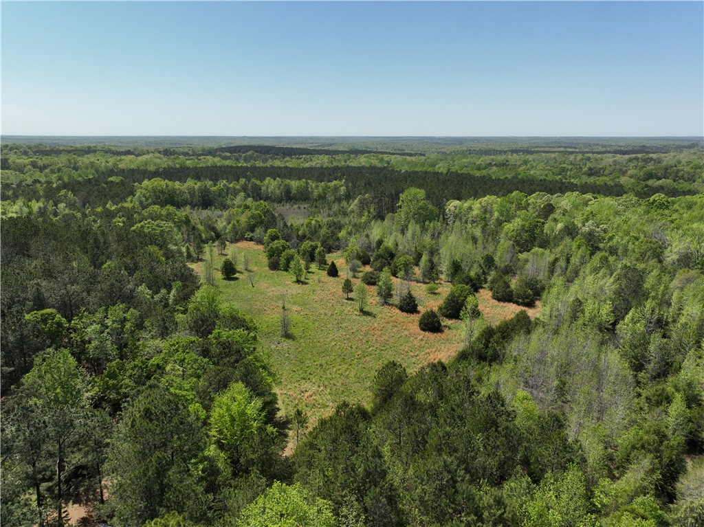 1 Potato House Road Gray Court, SC 29645 - Photo 2 of 10