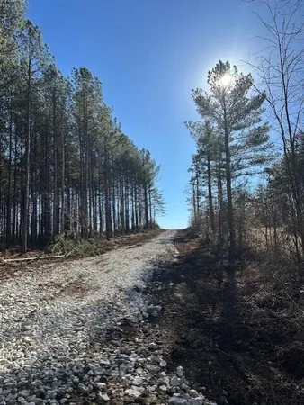 $55,000 | 1 50th Avenue, Unit TRACT 1, Gruetli Laager, TN 37339