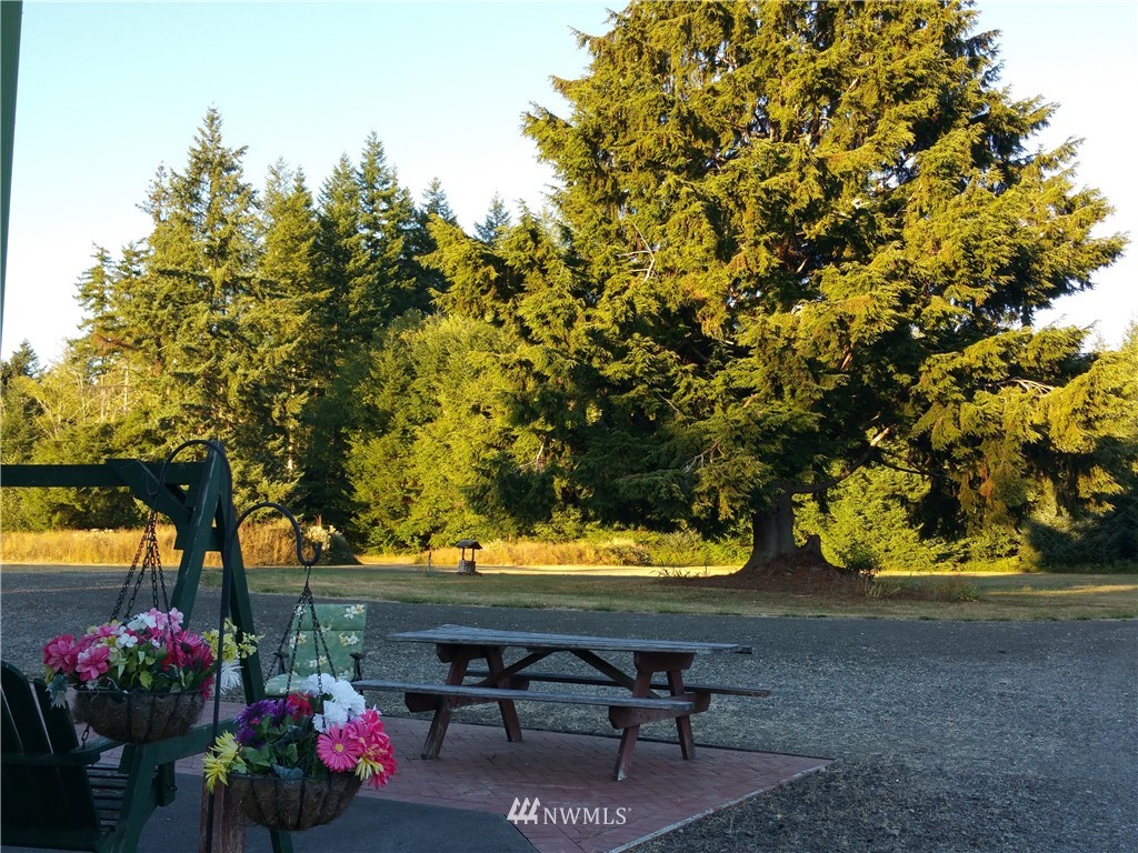 276 East Satsop Road Elma, WA 98541 - Photo 16 of 21 Gallery Image 16