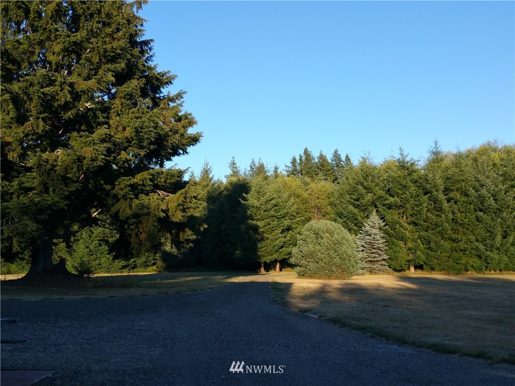 276 East Satsop Road Elma, WA 98541 - Photo 17 of 21 Gallery Image 17