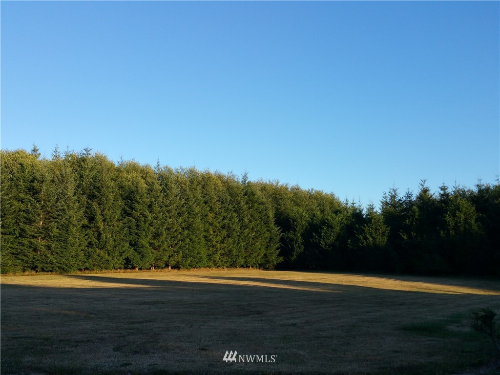 276 East Satsop Road Elma, WA 98541 - Photo 18 of 21 Gallery Image 18