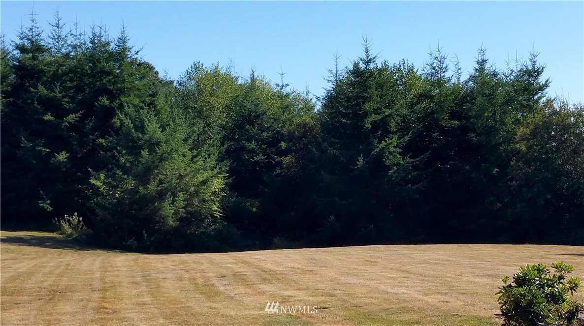 276 East Satsop Road Elma, WA 98541 - Photo 20 of 21 Gallery Image 20
