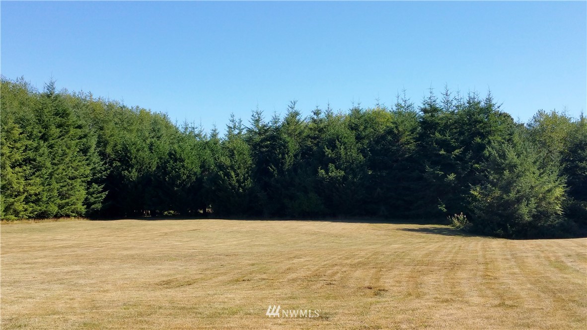 276 East Satsop Road Elma, WA 98541 - Photo 21 of 21 Gallery Image 21