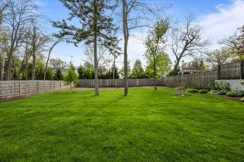 a view of yard with grass and trees