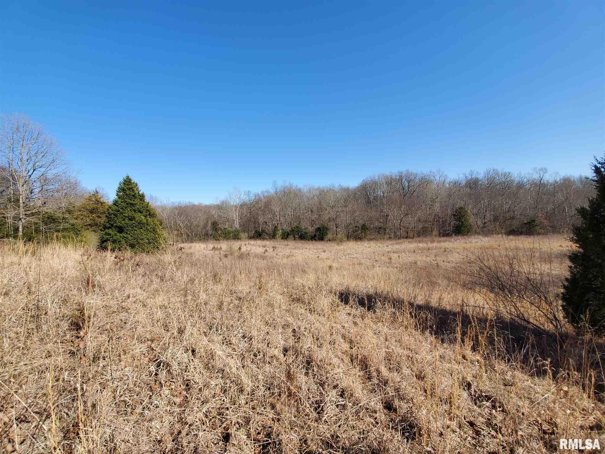 2080 Tyler Bridge Road Creal Springs, IL 62922 - Photo 6 of 42