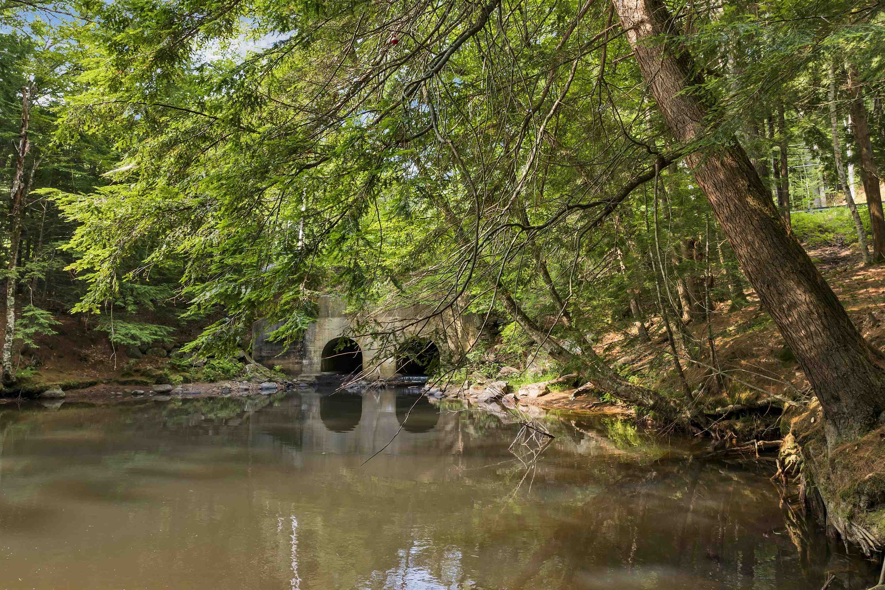 479 River Road Plymouth, NH 03264 - Photo 34 of 35