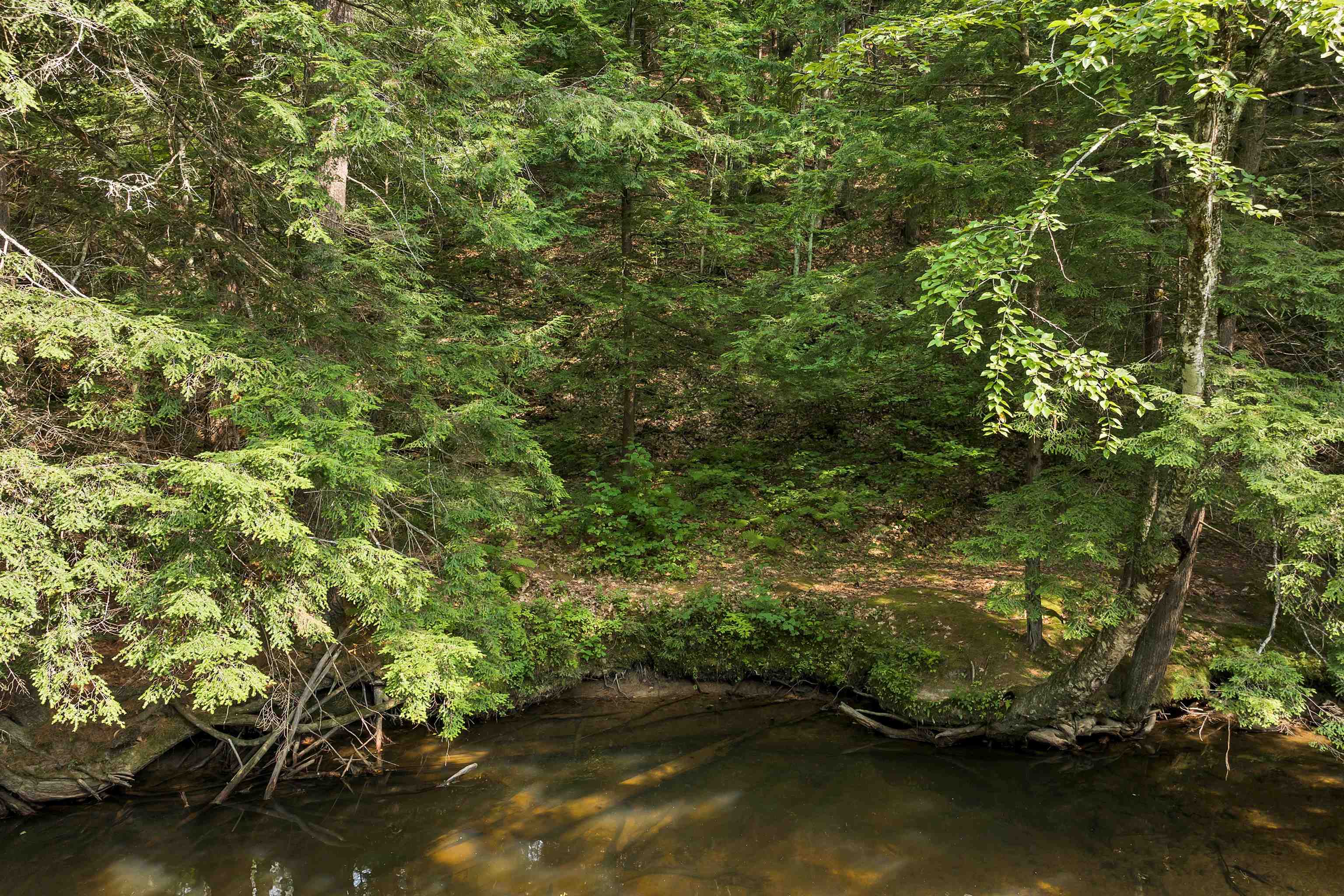 479 River Road Plymouth, NH 03264 - Photo 35 of 35